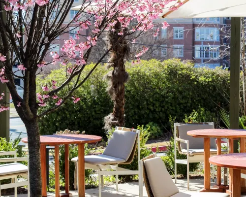 Kimpton SYLVAN ATLANTA - BUCKHEAD by IHG Hotels near Buckhead Theatre