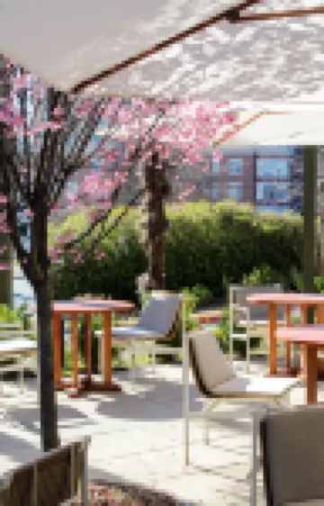 Kimpton SYLVAN ATLANTA - BUCKHEAD by IHG Hotels in Atlanta