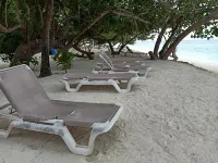 Fins Dive and Leisure Hotel - Beach