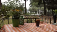 Pefka Studios & Apartments Hotels in Vourvourou