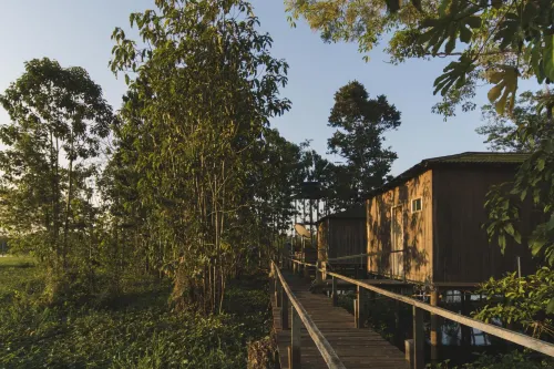 Amazon Arowana Lodge - Homestays