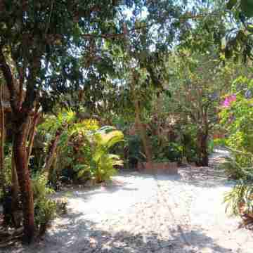 Sunny Bungalow Hotel Exterior