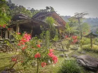 Back to Nature Ecotourism Hotels in Langkat Regency