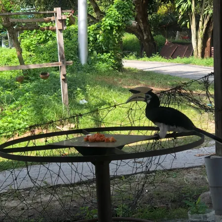 Walking Distance to the Beach, Pangkor
