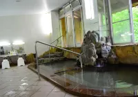 伊東園ホテル尾瀬老神山楽荘 - 温泉