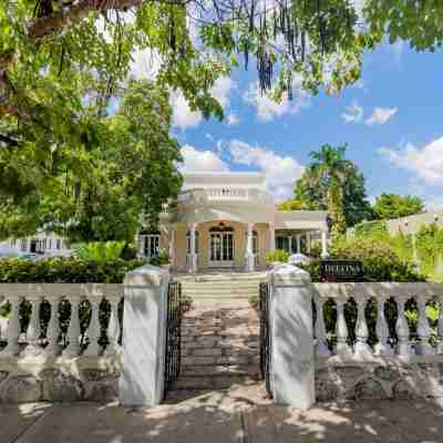 Delfina Boutique Hotel Hotel Exterior