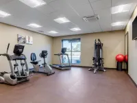 Comfort Inn & Suites at CrossPlex Village Hotels near Birmingham Crossplex