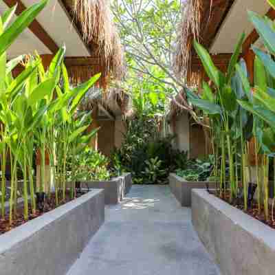 Amel - Soft Opening Hotel Exterior