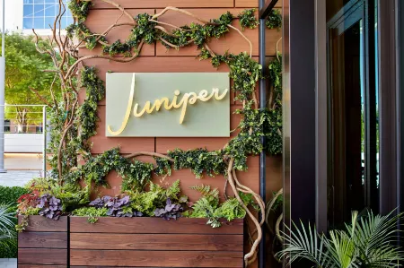 AC Hotel Greenville Отели в г. Джадсон