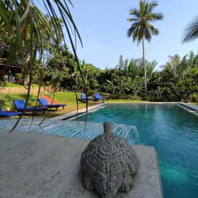 Villa Lyvie Ayurvedic Hotel
