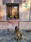 Casa de Zeferina