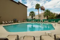 The New Pioneer - Pools