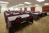 Country Inn & Suites by Radisson Bismarck Waterpark - Pool