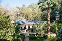 Romanov Palm Hotel - bar