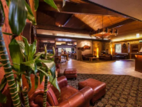 Best Western Plus Tree House