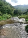 The Farmville Kodaikanal
