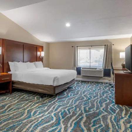 Comfort Inn Asheville East-Blue Ridge Pkwy Access