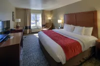 Comfort Inn Brunswick Hotels in Brunswick