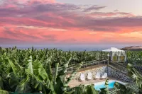 Hacienda la Dehesa (Only Adults) - Wifi