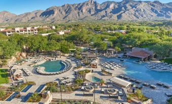 The Westin la Paloma Resort & Spa