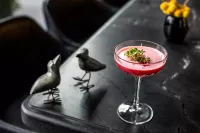 voco ST. AUGUSTINE - HISTORIC AREA by IHG - bar