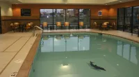 Hampton Inn & Suites Tulsa/Catoosa - Pools