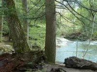 Morning Glory B n B Woodstock NY Hotels in West Hurley