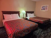 Ashford Motel - Motels