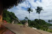 Vanira Lodge - Mountain view