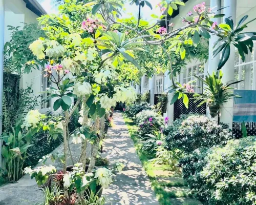 日光平房 外觀 Photos