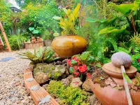 Nokkamin Home Chiang Dao - Pet friendly