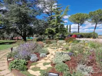 Poggio del Sole - Farmhouses