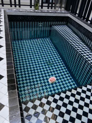 Riad Zebrakaro