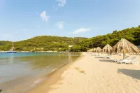 Pine Tree Boutique Apartments - Homestays