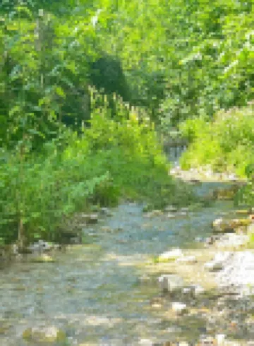 モンドホルツ - アーバンイン 24-7