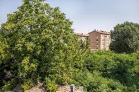 Emilia Suite Essence