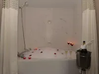 Hampton Inn & Suites Atlanta-Galleria - Hot Tub