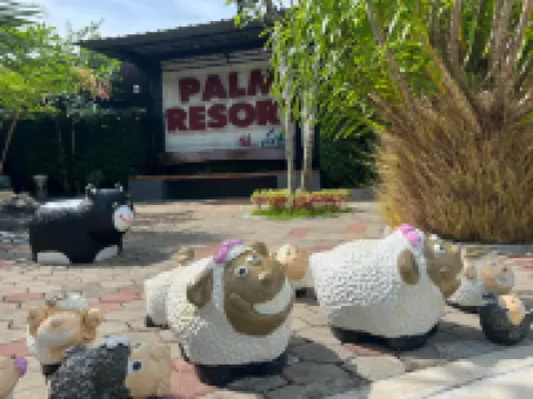 Palmresort