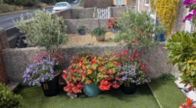 The Bridges B&B Hotels in 