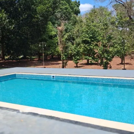 Funk Bunks - Sigiriya