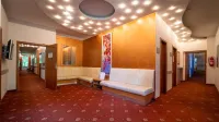 Hotel Richard Spa & Wellness - bar