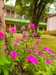 Tupa Hotel Iguazu - Хоумстей