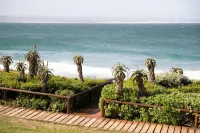 African Perfection 1 - Beach