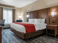 Comfort Inn & Suites Downtown Near University Hotels in Tuscaloosa County