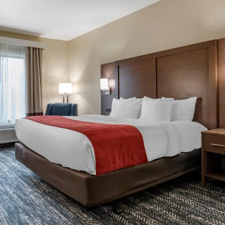 Comfort Inn & Suites Downtown Near University