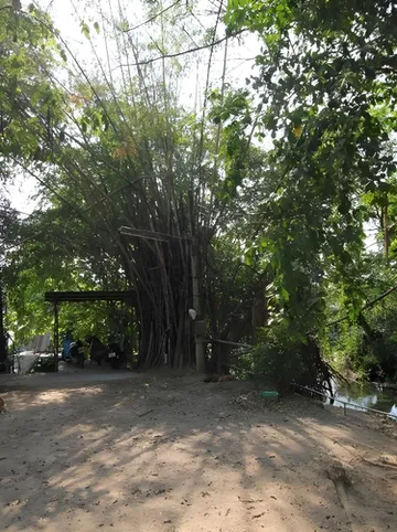 รูปภาพของนิตา ราฟท์ เฮาส์