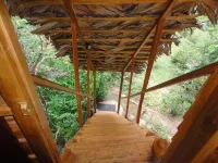 Inn on the Tree Hotels in Kimbissa