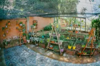 Hotel Tierra Colorada Hotels in 