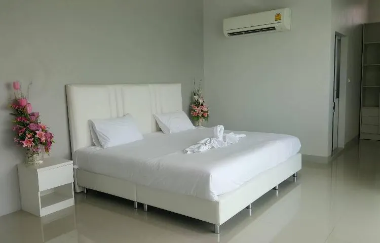 สแตนดาร์ด 2