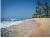 Bayfront - Beach